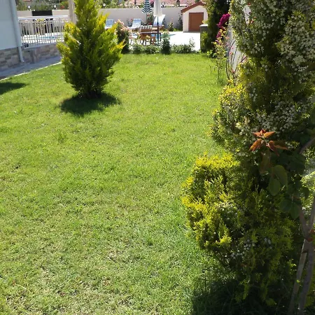 فيلة Ceylin